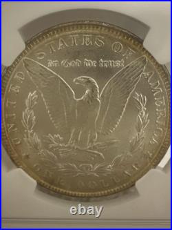 1886 P NGC MS64 Morgan Silver Dollar Coin US. Beautiful 1886 P NGC MS64 Morgan Silver Dollar Coin US. Beautiful