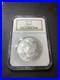 1887-1-Morgan-Silver-Dollar-MS64-NGC-01-zm