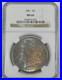 1887-Morgan-Dollar-NGC-MS-64-Silver-Dollar-SPECTACULAR-Obverse-Toning-01-pg