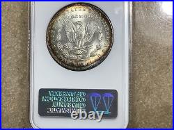 1887 Morgan Silver Dollar Vintage NGC MS64 Holder Retired Dealer Rev Toned 1887 Morgan Silver Dollar Vintage NGC MS64 Holder Retired Dealer Rev Toned