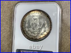 1887 Morgan Silver Dollar Vintage NGC MS64 Holder Retired Dealer Rev Toned 1887 Morgan Silver Dollar Vintage NGC MS64 Holder Retired Dealer Rev Toned
