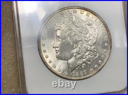 1887 Morgan Silver Dollar Vintage NGC MS64 Holder Retired Dealer Rev Toned 1887 Morgan Silver Dollar Vintage NGC MS64 Holder Retired Dealer Rev Toned