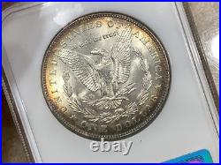 1887 Morgan Silver Dollar Vintage NGC MS64 Holder Retired Dealer Rev Toned 1887 Morgan Silver Dollar Vintage NGC MS64 Holder Retired Dealer Rev Toned