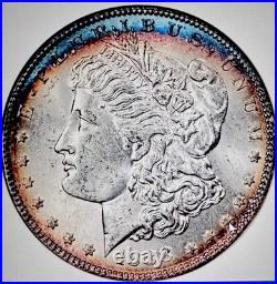 1888 Morgan Silver Dollar MS 64 NGC Old Holder. VAM-12A Hot 50 Great Blue Tone