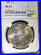 1888-Morgan-Silver-Dollar-One-1-Dollar-NGC-MS63-Beautiful-Reverse-Toning-01-tgjg