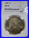 1888-P-Morgan-Silver-Dollar-NGC-MS-66-Toned-01-mccj