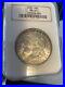 1889-P-Morgan-Dollar-NGC-MS64-Old-Fatty-Holder-Beautiful-Luster-And-Toning-01-zsq