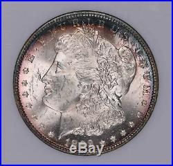 1892 O Morgan Silver Dollar Coin Toned Fatty Holder Ngc Ms63 #528-013tjr