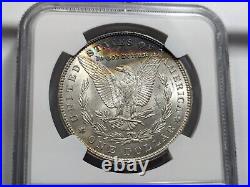 1896 Morgan Silver Dollar NGC MS 64 Toned 1961 Treasury Collection Bag Toning