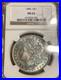 1896-P-Morgan-Silver-Dollar-NGC-MS63-Ice-Blue-Toning-01-gieu