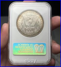 1897 Morgan Silver Dollar Graded MS 63 by NGC Thick holder
