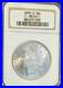 1899-O-1-Morgan-Silver-Dollar-NGC-MS64-01-tvec