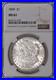 1899-P-Morgan-Silver-Dollar-1-NGC-MS61-White-Lustrous-01-bmz