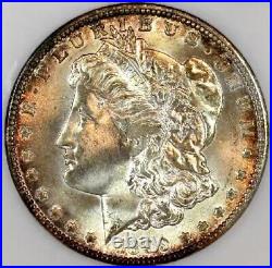 1899-o Ms64 Ngc Cac Morgan Silver Dollar Pq Old Fatty Holder