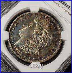 1902 Morgan Dollar Proof 61 Ngc #001 Beautiful Toning