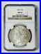 1902-P-Morgan-Silver-Dollar-NGC-MS-62-01-rde