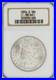 1904-O-Morgan-90-Silver-Dollar-Graded-MS-64-by-NGC-026-Old-Style-Label-01-kaon