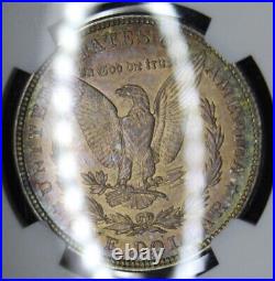 1921 Morgan Silver Dollar Graded NGC MS63 Rainbow Color Toning Toned Coin Toner