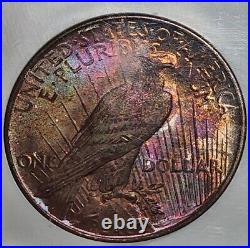 1922 P Toned Peace Silver Dollar NGC MS64. Rainbow Toning. Insane peace $