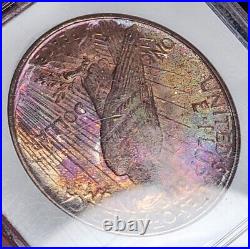 1922 P Toned Peace Silver Dollar NGC MS64. Rainbow Toning. Insane peace $