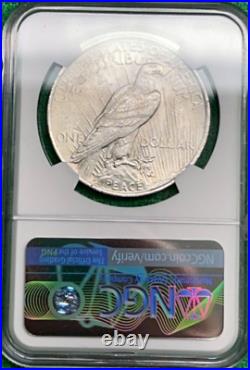 1923 Peace Silver Dollar. NGC MS 62. 100th Anniversary