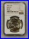 2001-D-American-Buffalo-PROOF-Silver-Dollar-NGC-MS-70-NO-SPOTS-Golden-Tones-01-ybo