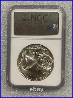 2001-D American Buffalo Unc Silver Dollar NGC MS 69 PRISTINE (023)