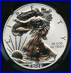 2013 W American Silver Eagle Dollar NGC PF 69 Reverse Proof