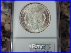 $300 VALUE! 1883-CC Morgan Silver Dollar, NGC MS-64