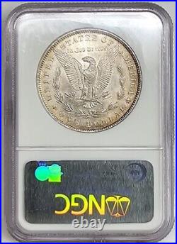 Golden Toned 1882 P Morgan Silver Dollar NGC MS63