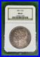 Gunmetal-Terminal-Toned-Morgan-Silver-Dollar-Old-NGC-Soapbox-Holder-1881-S-01-qpc