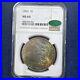 MS64-1886-Morgan-Silver-Dollar-NGC-Beautifully-Toned-LOT-Z-73-01-jo