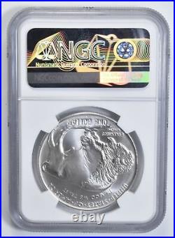 MS70 2001 D MS70 Buffalo $1 Commemorative Silver Dollar NGC