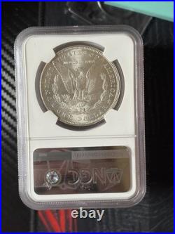 Morgan Silver Dollar Random Year Graded By NGC Ms 63