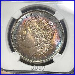 SASA 1903 Morgan Ngc Unc Details Artificial Toning