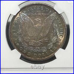 SASA 1903 Morgan Ngc Unc Details Artificial Toning