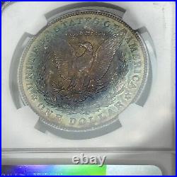 SASA 1903 Morgan Ngc Unc Details Artificial Toning