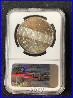 Tab Toned 1880 S Morgan Silver Dollar NGC MS64
